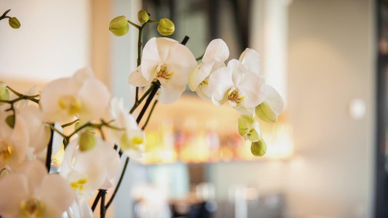 Heuboden Hotel Heu.Loft Freiburg Умкирх Екстериор снимка